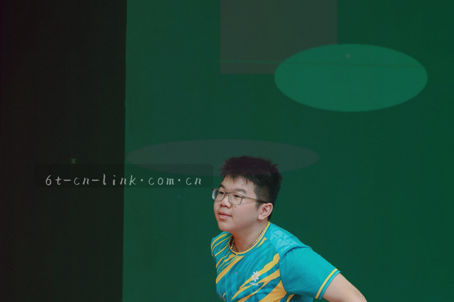 多个联赛徽章抽象排列，但不显示真实队徽